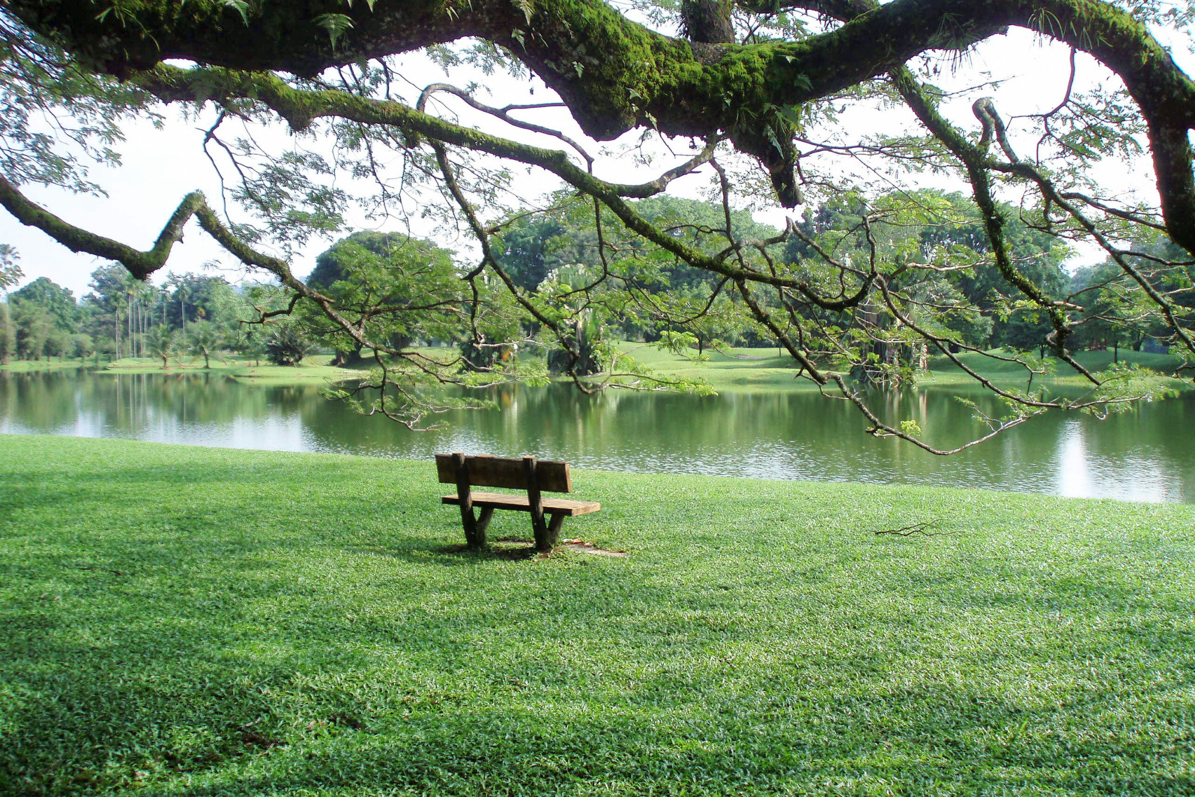 taiping (2).webp